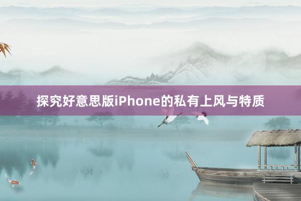 探究好意思版iPhone的私有上风与特质